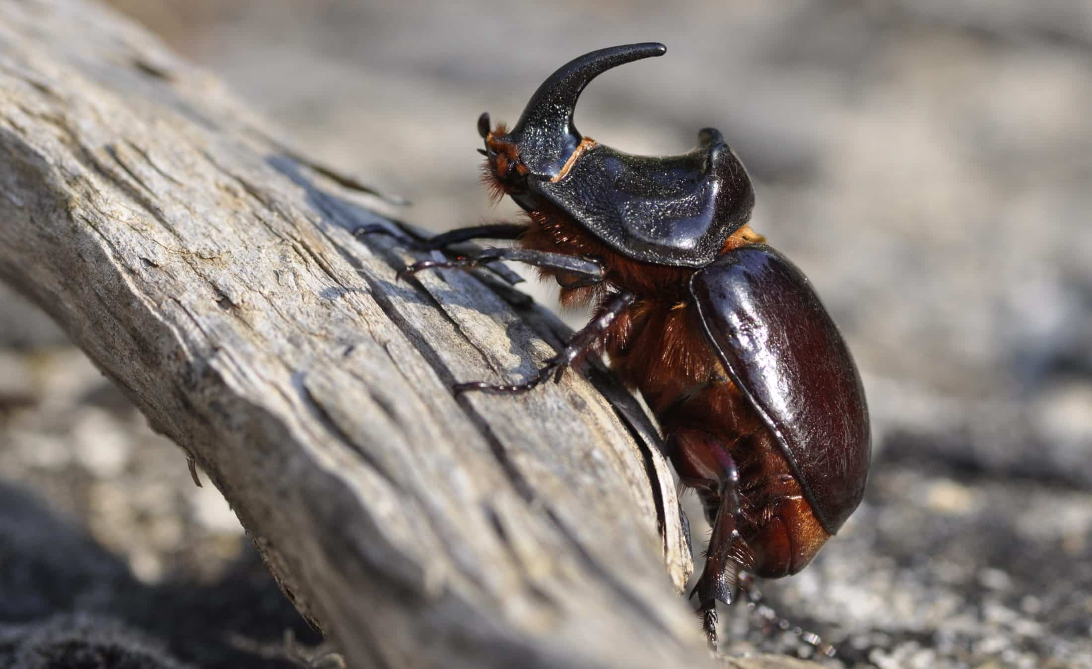 50510787396_42a0b04510_o